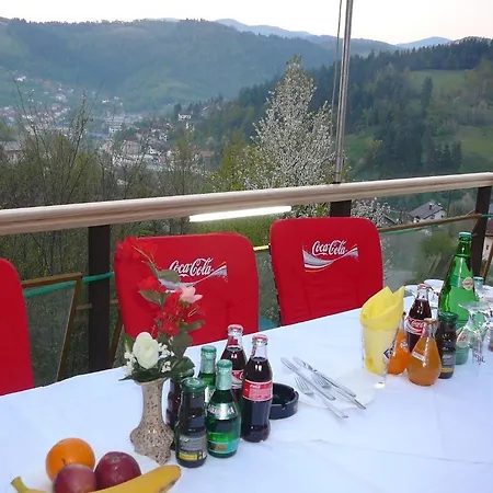 Panorama 3* Olovo (Zenica-Doboj)